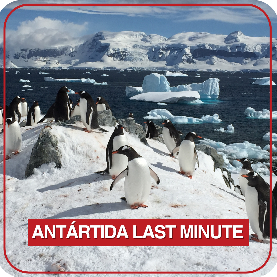 Antartida (Last minute)